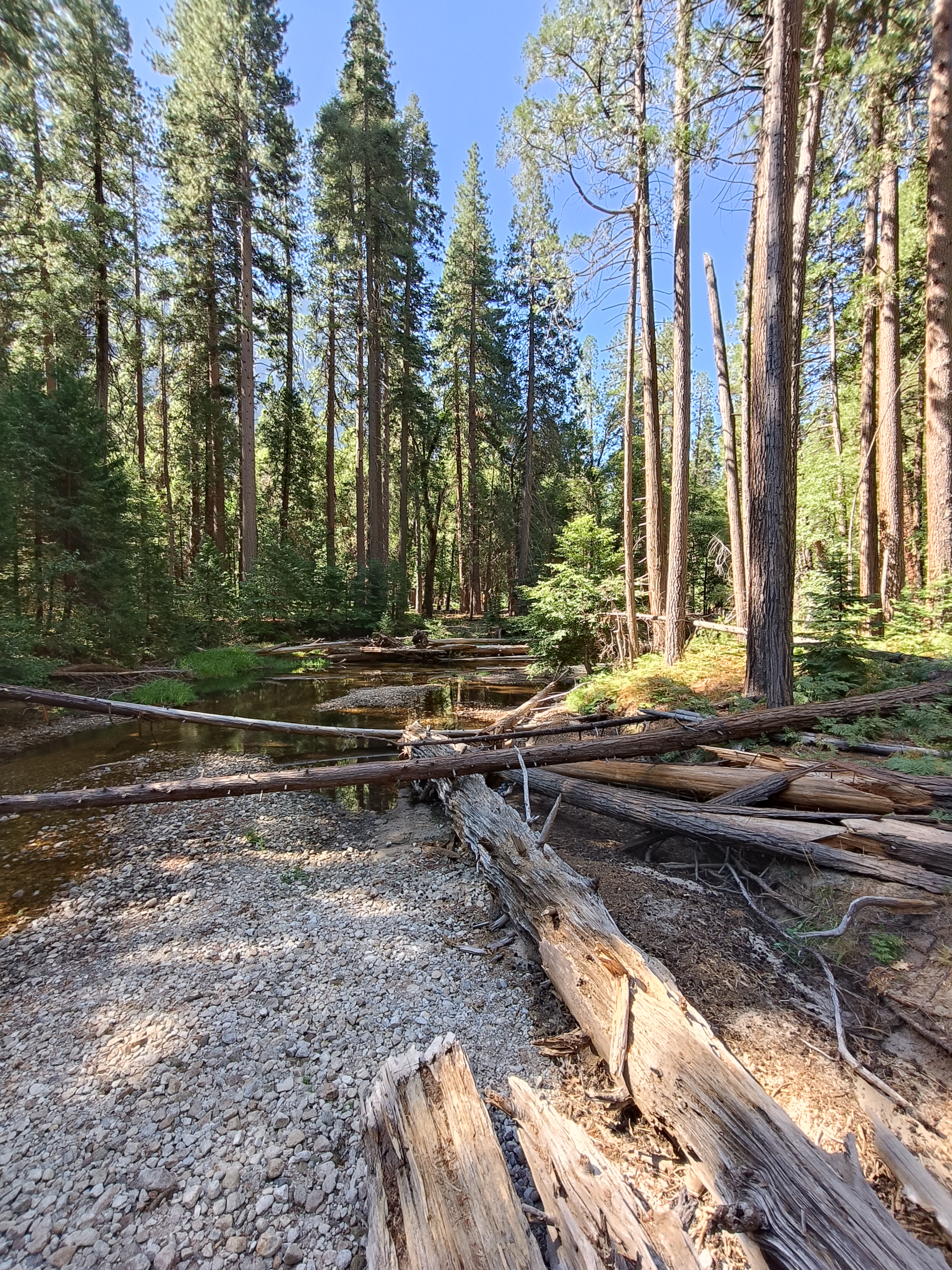 Yosemite Nationalpark